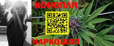 сатива Рязань