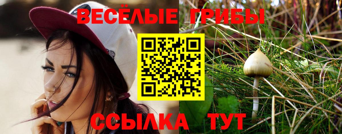 Наро-Фоминск  Галлюциногенные грибы MAGIC MUSHROOMS  Псилоцибиновые грибы прущие грибы  Вход с VPN 