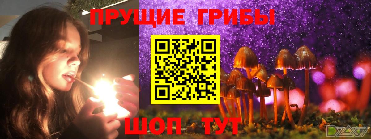 Галлюциногенные грибы прущие грибы Наро-Фоминск